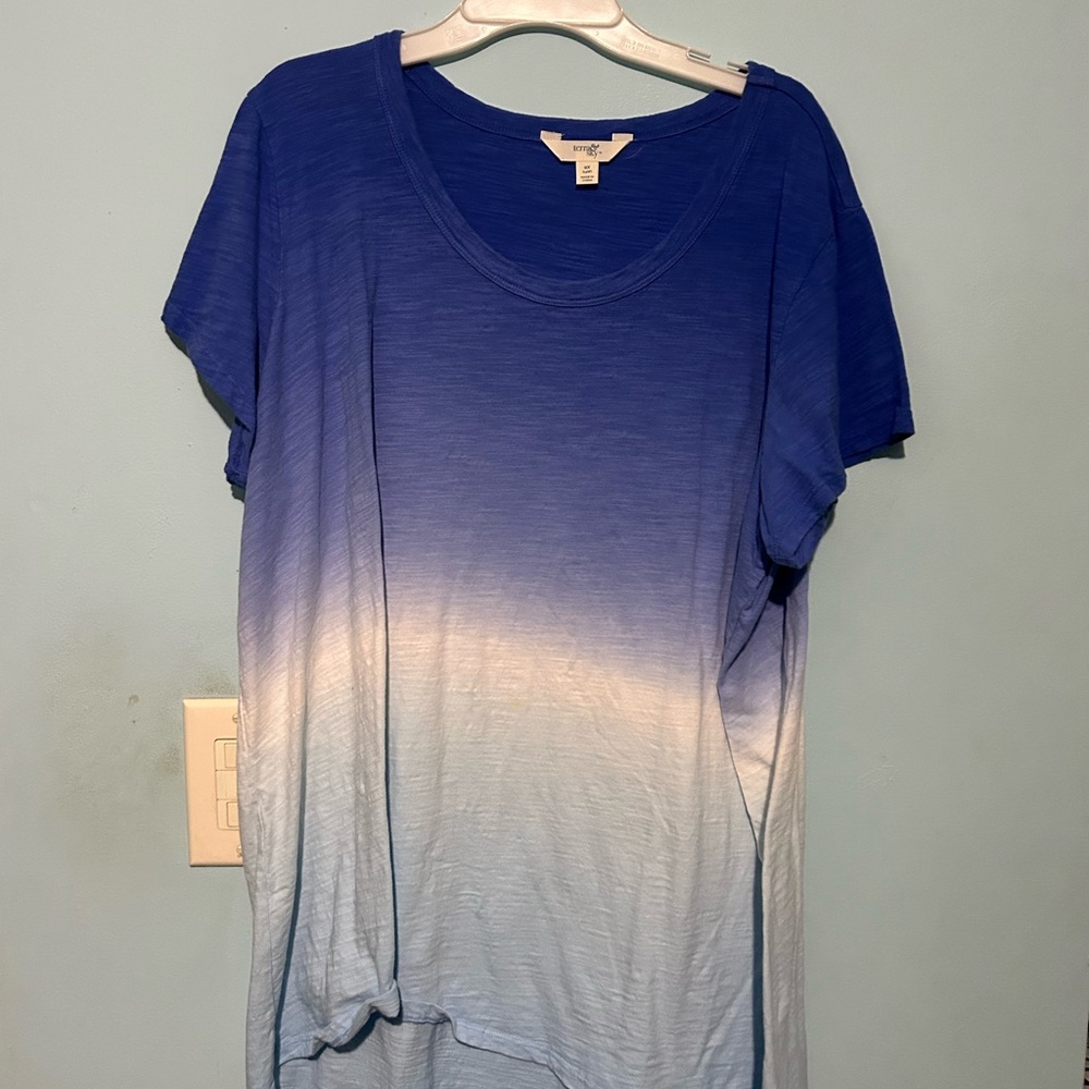 NWOT Terra & Sky Blue and Gray Oversized Short Sleeve T-Shirt